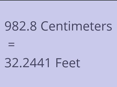 982.8 CM TO FEET