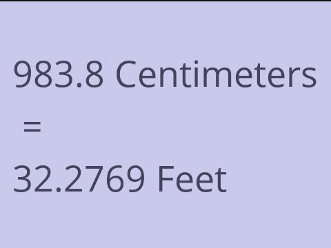 983.8 CM TO FEET