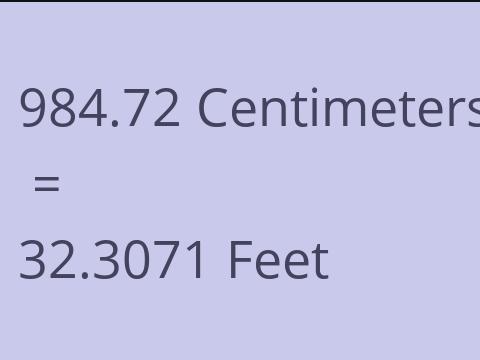 984.72 CM TO FEET