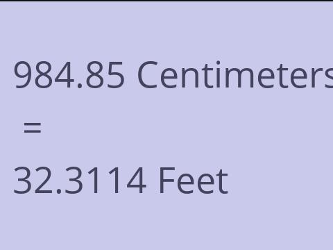 984.85 CM TO FEET