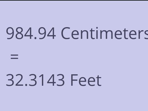 984.94 CM TO FEET