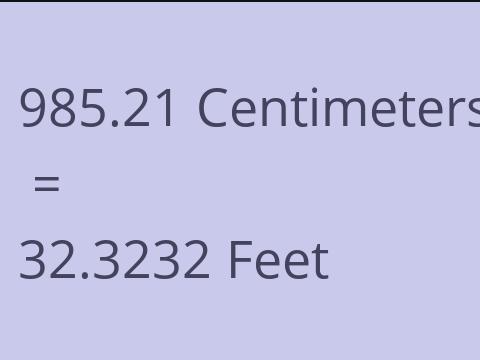 985.21 CM TO FEET