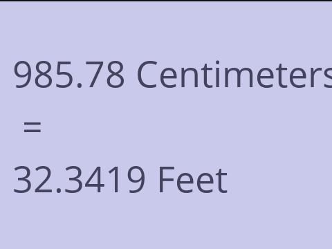 985.78 CM TO FEET