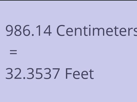 986.14 CM TO FEET