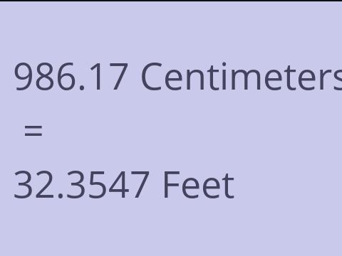 986.17 CM TO FEET