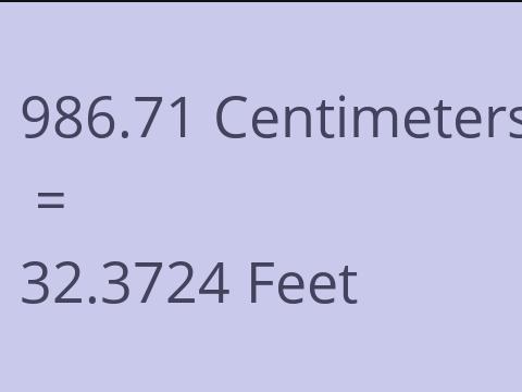 986.71 CM TO FEET