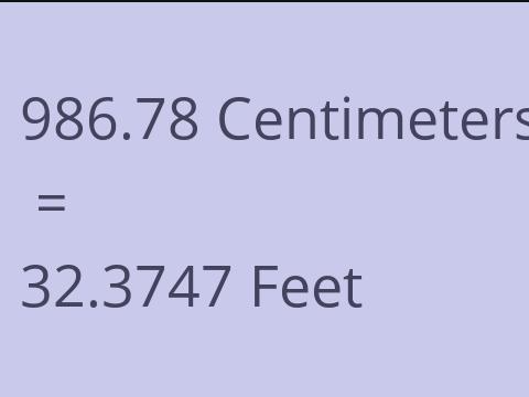 986.78 CM TO FEET