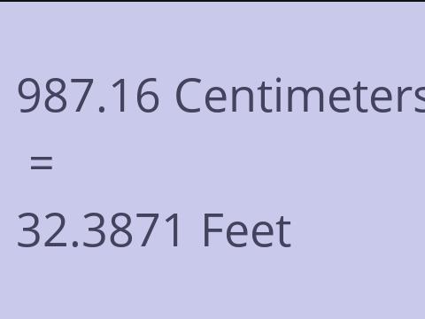 987.16 CM TO FEET