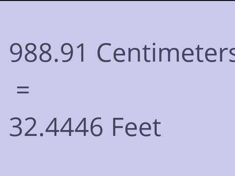 988.91 CM TO FEET