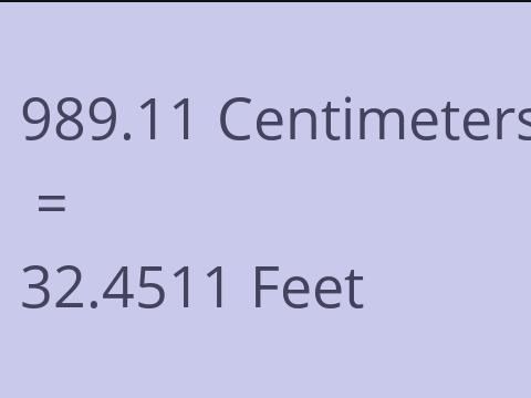 989.11 CM TO FEET