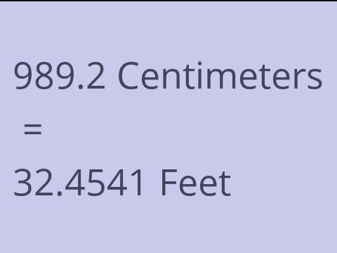 989.2 CM TO FEET