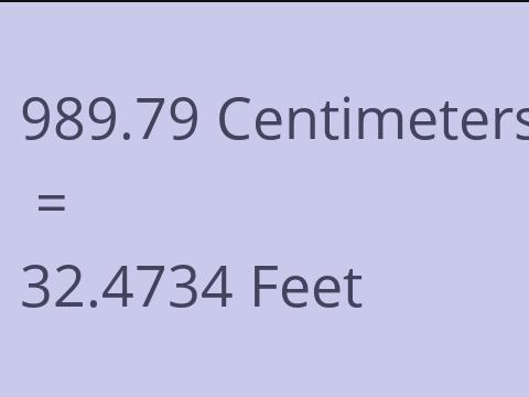 989.79 CM TO FEET