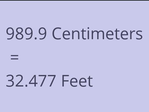 989.9 CM TO FEET