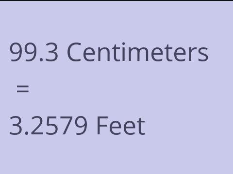 99.3 CM TO FEET