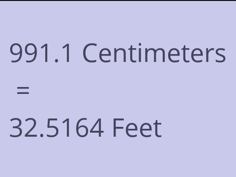 991.1 CM TO FEET