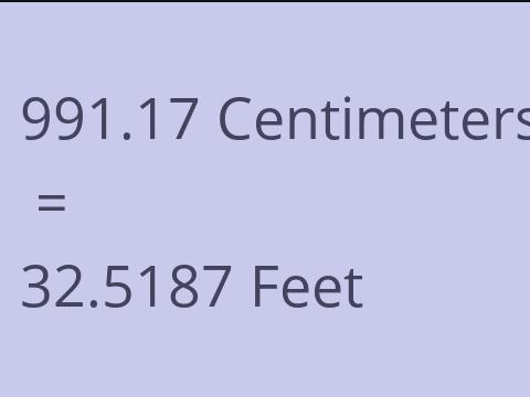 991.17 CM TO FEET