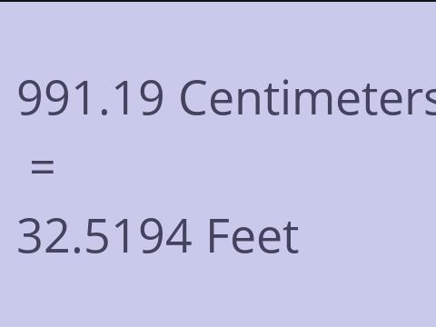 991.19 CM TO FEET