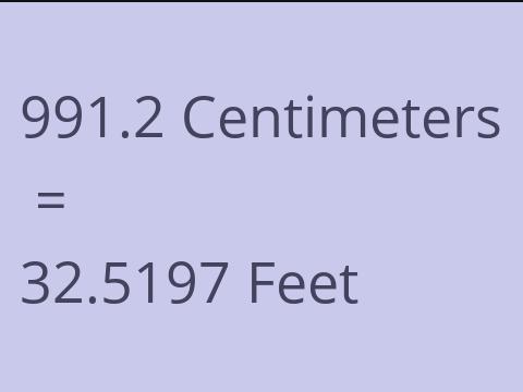 991.2 CM TO FEET