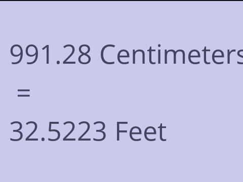 991.28 CM TO FEET