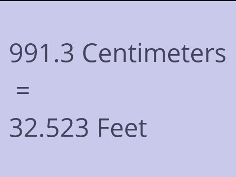 991.3 CM TO FEET