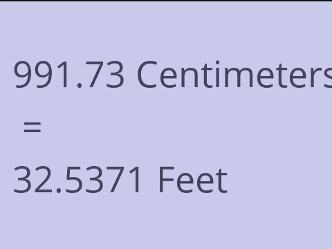 991.73 CM TO FEET