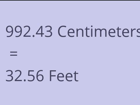 992.43 CM TO FEET