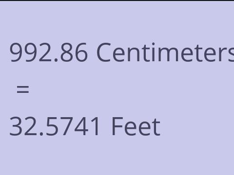 992.86 CM TO FEET