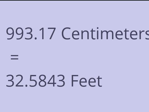 993.17 CM TO FEET