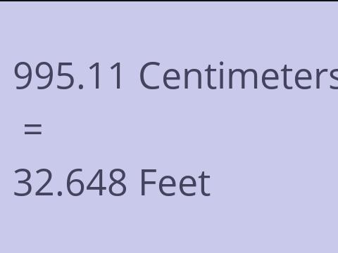 995.11 CM TO FEET