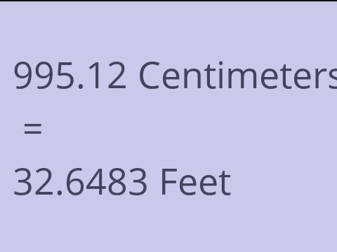 995.12 CM TO FEET